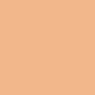 2mm Foam – Flesh