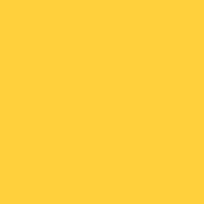 6mm Foam – Goldenrod
