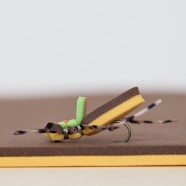 Two Tone Foam – Brown/Goldenrod