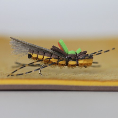 Fuzzy Foam – Realistic Goldenstone