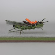 Fuzzy Foam – Realistic Skwala