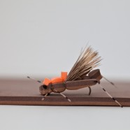 Two Tone Foam – Brown/Cocoa