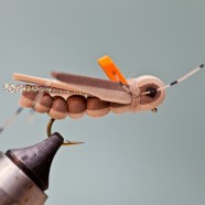 Thunder Thighs Hopper Kit