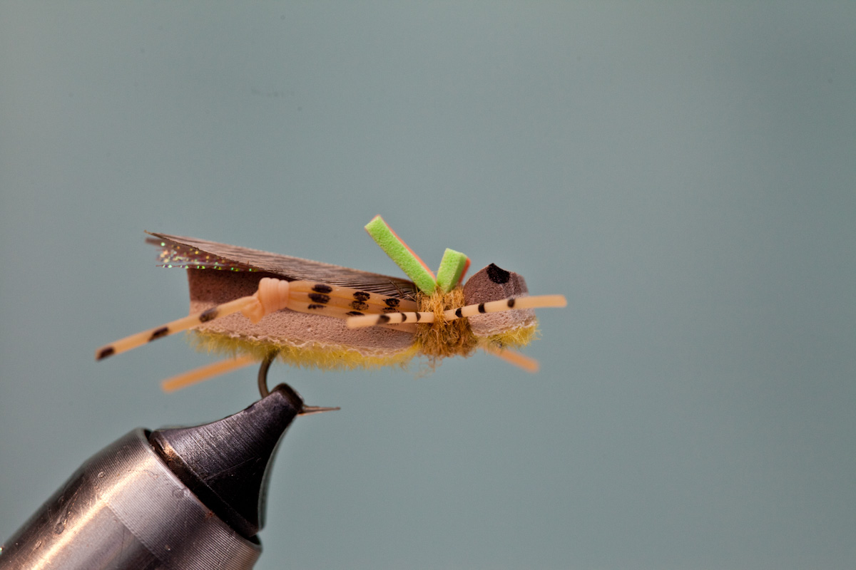 barred rubber legs on Grand Hopper