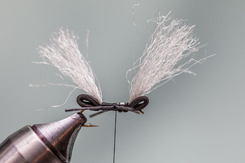 tying in rubber hopper legs on chubby ant