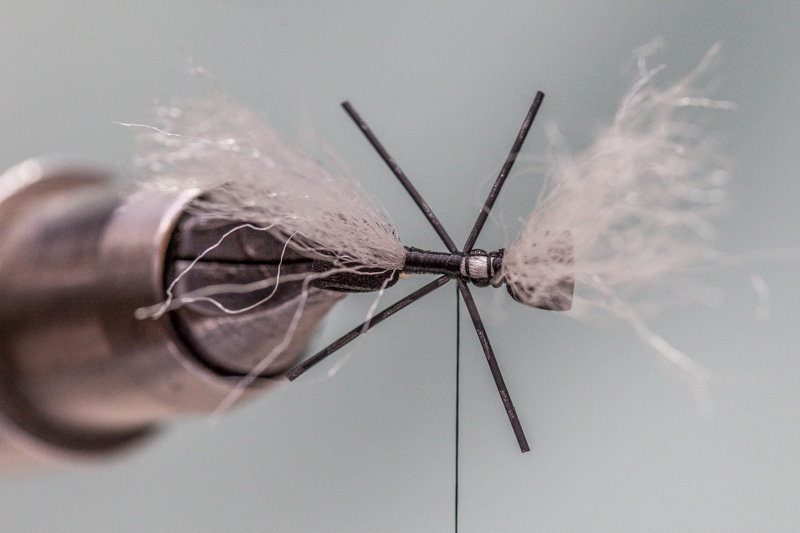 top view of rubber legs on chubby foam ant