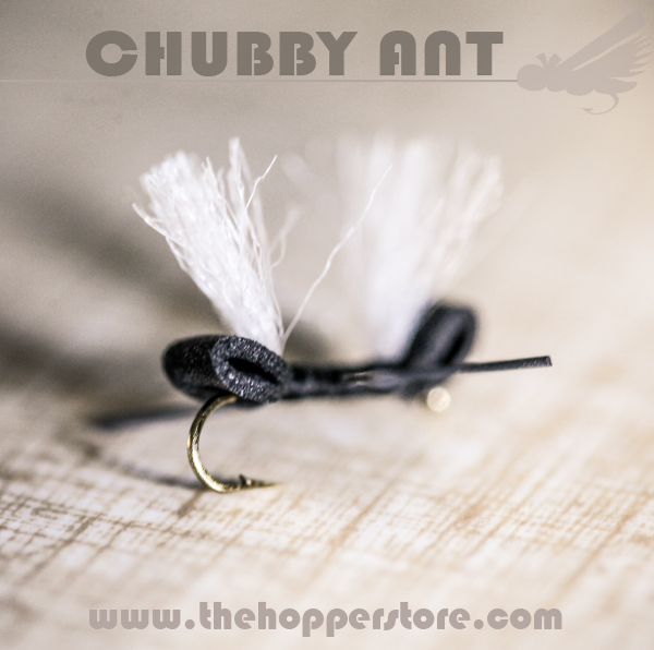 How to tie a chubby ant