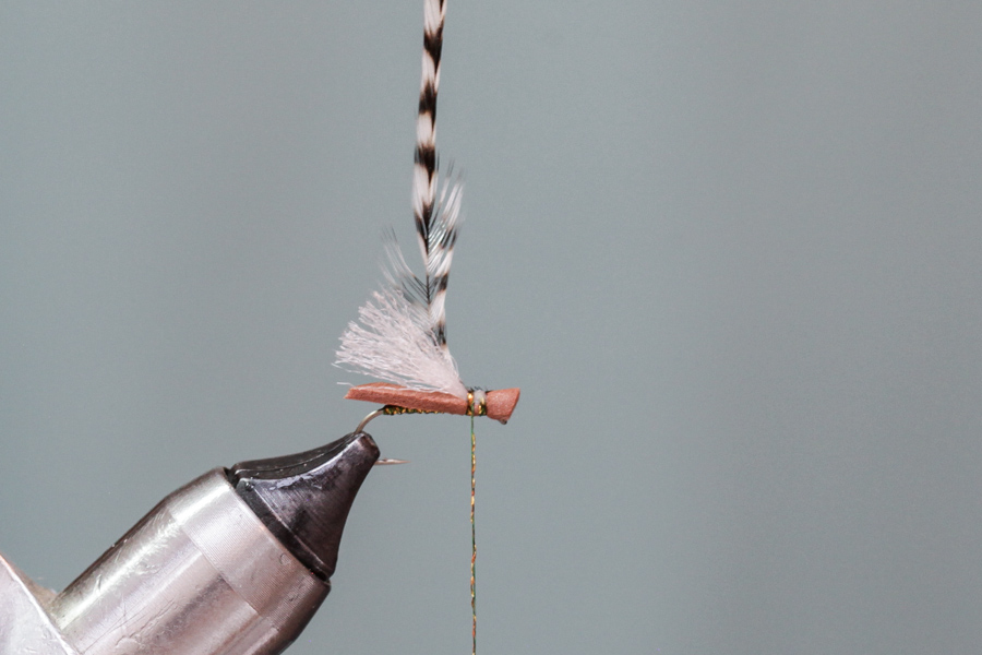 Attach hackle on fly
