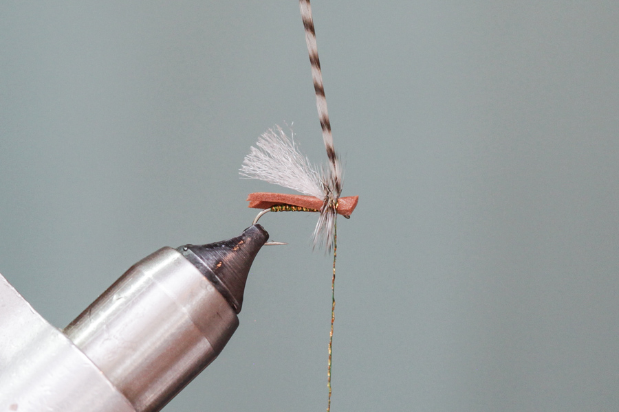 Secure hackle on foam fly